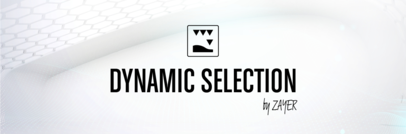 Dynamic Selection（动态选择）
